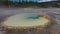 Algae-bacterial mats. Hot thermal spring, hot pool in the Yellowstone National park. Wyoming, USA