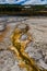 Algae-bacterial mats. Hot thermal spring, hot pool in the Yellowstone NP