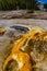 Algae-bacterial mats. Hot thermal spring, hot pool in the Yellowstone NP