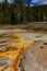 Algae-bacterial mats. Hot thermal spring, hot pool in the Yellowstone NP