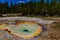 Algae-bacterial mats. Hot thermal spring, hot pool in the Yellowstone NP