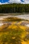 Algae-bacterial mats. Hot thermal spring, hot pool in the Yellowstone NP