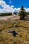 Algae-bacterial mats. Hot thermal spring, hot pool in the Yellowstone NP