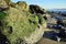 Algae covered boulder on shore of Cress Street Beach in Laguna Beach, California.
