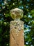 Algae-Covered Cemetery Obelisk