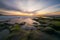 Algae covered rocks and tide pools in La Jolla California