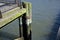 Algae on the edge of a dock.