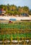 Algae farm field in Indonesia