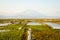 Algae farm field in Indonesia