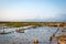 Algae farm field in Indonesia