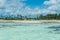 Algae farm in the ocean. Clear turquoise water on the beach of J