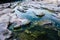 Algae grow on the bedrock of a dry river producing eutrophication