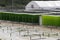 Algae growing farm