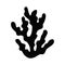 algae isolated silhouette black. aquarium plant underwater element