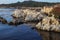 Algae and moss in the lagoon Point Lobos