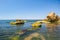 Algae on the sea stones. Green algae covers the sea surface