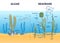 Algae and seagrass biological structure and carbon exchange outline diagram