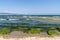 Algal, Algae blooms in Sunny Beach on the Black Sea coast of Bulgaria