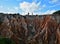Algarve rocks formation