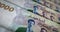 Algeria Dinar money banknote surface loop animation