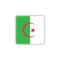 Algeria national flag flat icon