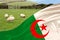 Algeria state silk national flag folded in soft folds on black blank form, concept of tourism, economy, politics, emigration