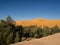 Algerian Sahara desert Golden sand dunes and palm trees