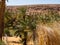 Algerian Sahara desert Thaghit Bechar