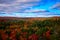 Algonquin fall colours Provincial Park Ontario