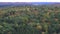 Algonquin forest overlook in autumn