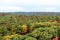 Algonquin National Park in autumn