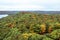 Algonquin National Park during autumn