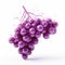 Algorithmic Art Of Grape On White Background