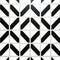 Algorithmic Artistry: Black And White Tile For Wall Or Floor