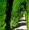 Alhambra garden
