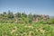 Alhambra viewed from Generalife gardens in Granada, Spain