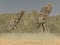 Alien creatures in a desert landscape