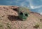 Alien face in a huge rock