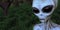 Alien Grey Humanoid Extraterrestrial Being in a forest extremely detailed and realistic high resolution 3d illustration