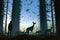 alien, observing grazing herd of deer, with towering trees in the background