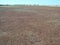 Alien scenery on the salt marshes of the Spit Arabat arrow, and landscapes of the shallow salt lake Sivash.