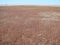 Alien scenery on the salt marshes of the Spit Arabat arrow, and landscapes of the shallow salt lake Sivash.