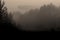Alien spaceship over foggy forest