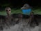 Alien UFO, Aliens, Spaceship Illustration
