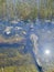 Aligator resting in water, Everglades naional park, Florida, USA