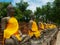 Aligned buddha statues in Phra Chedi Chaimongkol in Ayutthaya historical park