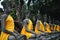 Aligned Buddha statues Thailand.