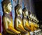 Aligned gold buddha