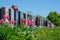 Aligned headstones in a cemetary