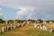 Alignements de Carnac - Alignements de Kermario - rows of Menhirs